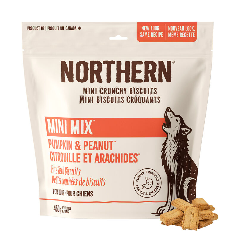 Northern Biscuit, Mini Mix Pumpkin Pie & Peanut Crunch - 450 g - Dog Biscuit image number null